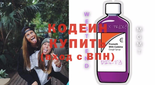 гашик Алзамай