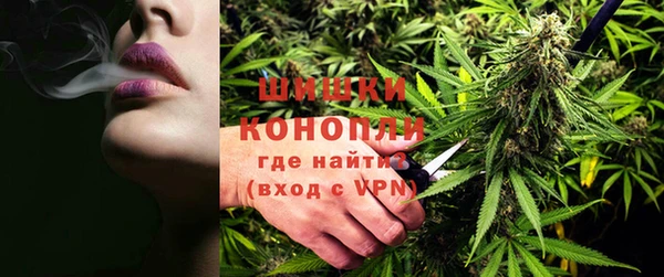 гашик Алзамай
