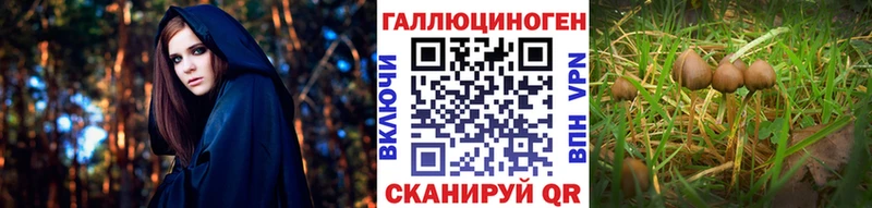 гидра tor  Ермолино  Галлюциногенные грибы ЛСД 